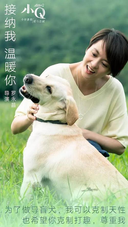 房产证换不动产证日期变更影响落户